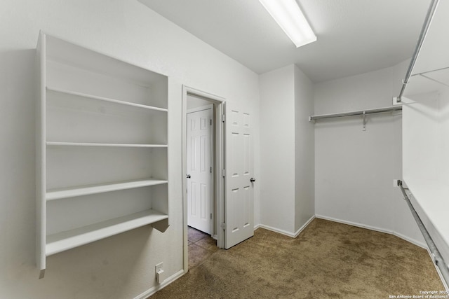 walk in closet with carpet
