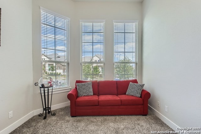 sitting room with baseboards, carpet, and plenty of natural light