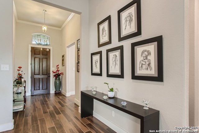 foyer entrance with baseboards, dark wood-style floors, and ornamental molding