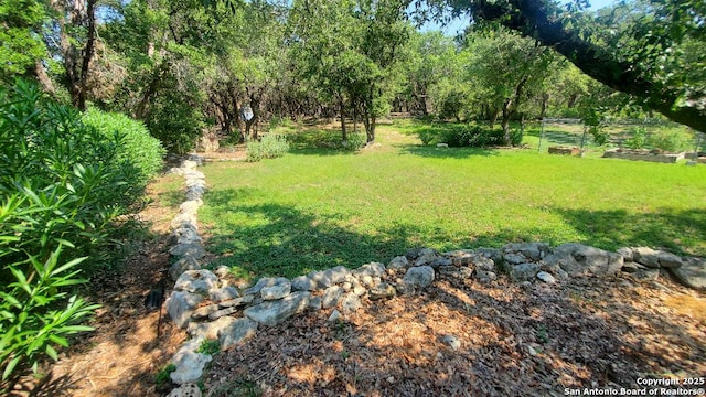 260 Campbell, Canyon Lake, TX 78133 - view of yard