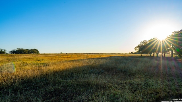 view of nature featuring a rural view