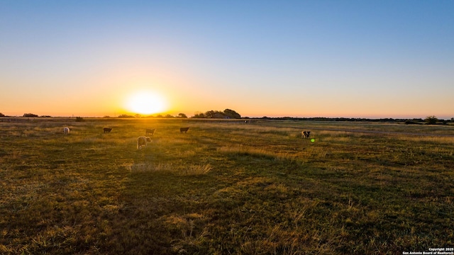 view of landscape with a rural view