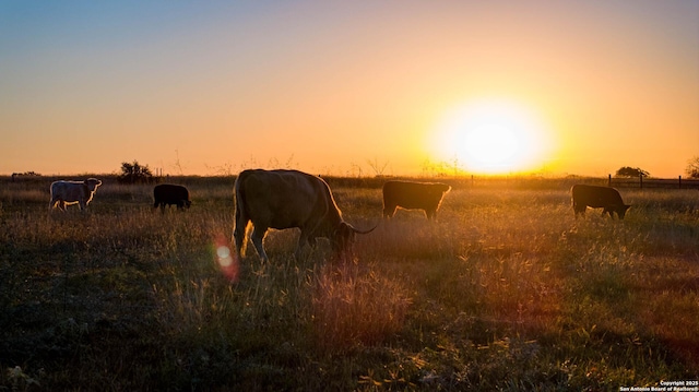 nature at dusk with a rural view
