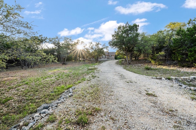 view of street with driveway