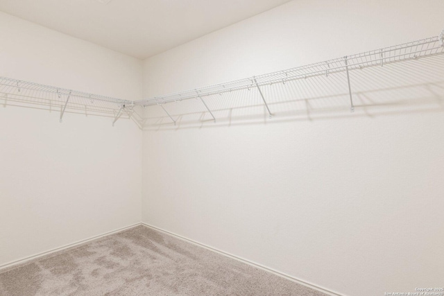 spacious closet with carpet floors