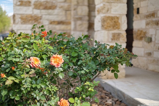13850 Cohan Way, San Antonio, TX 78253 - details with stone siding