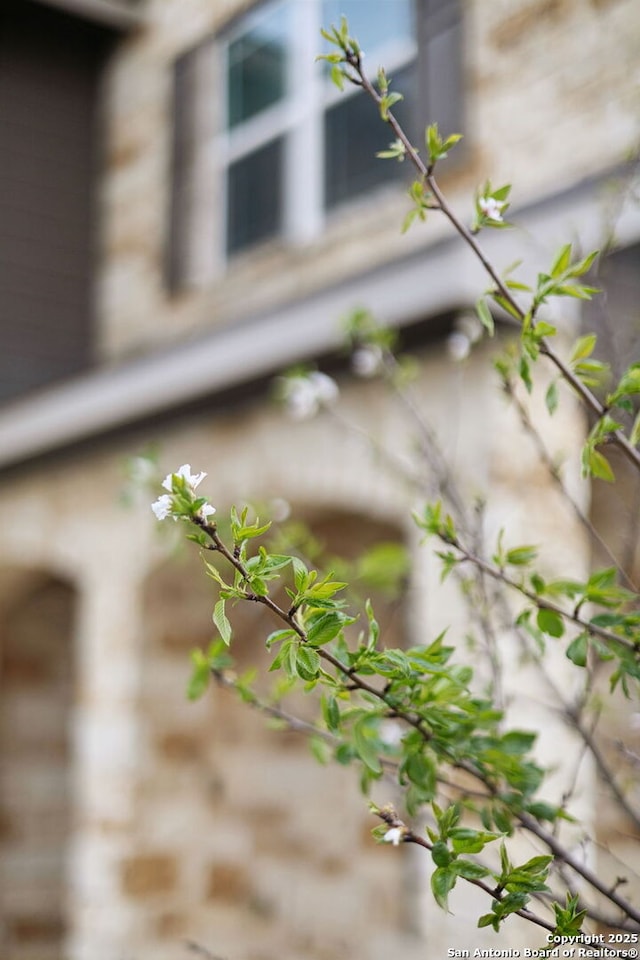 13850 Cohan Way, San Antonio, TX 78253 - view of details