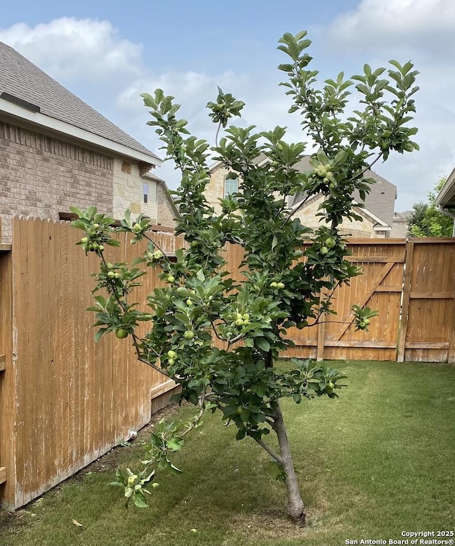 11806 Tower Frst, San Antonio, TX 78253 - view of yard with fence