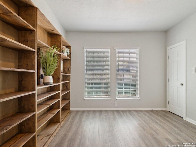 interior space with wood finished floors