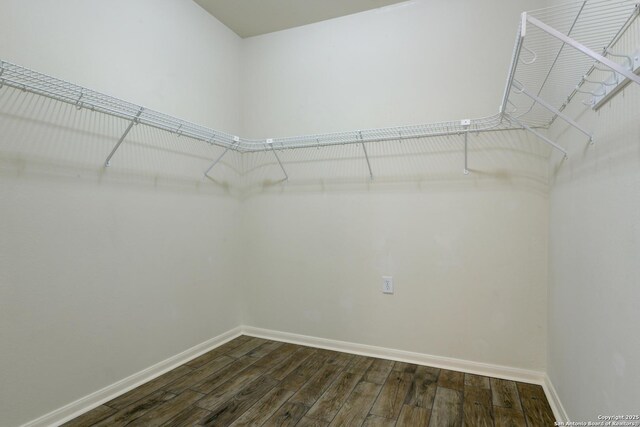 7609 Highland Park, San Antonio, TX 78250 - walk in closet featuring dark wood-style floors