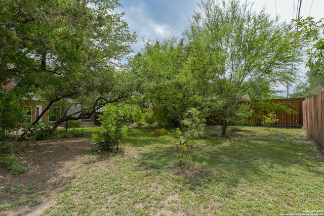 7609 Highland Park, San Antonio, TX 78250 - view of yard