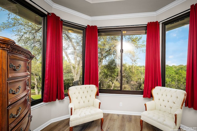 162 Teal Rdg, Canyon Lake, TX 78133 - sitting room with baseboards, wood finished floors, and a healthy amount of sunlight