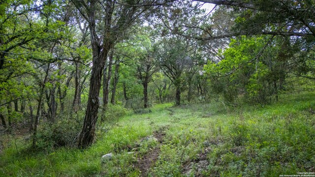 162 Teal Rdg, Canyon Lake, TX 78133 - view of landscape featuring a wooded view
