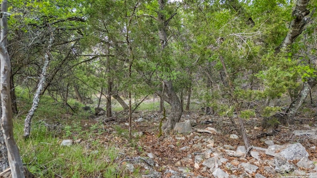 162 Teal Rdg, Canyon Lake, TX 78133 - view of nature with a wooded view