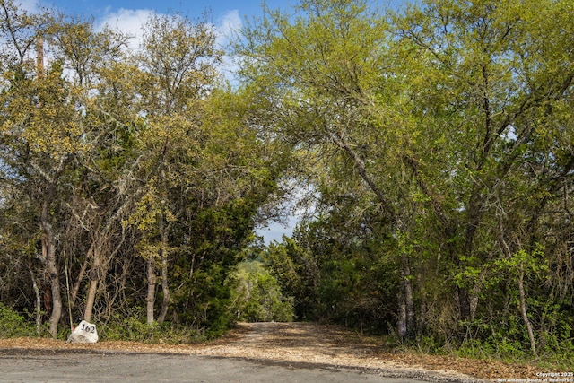162 Teal Rdg, Canyon Lake, TX 78133 - view of local wilderness