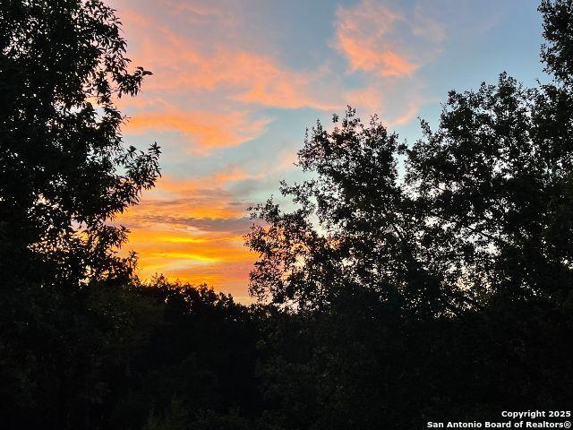 view of nature at dusk