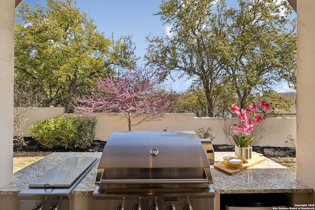 3919 El Chamizal, San Antonio, TX 78261 - view of storm shelter with a fenced backyard