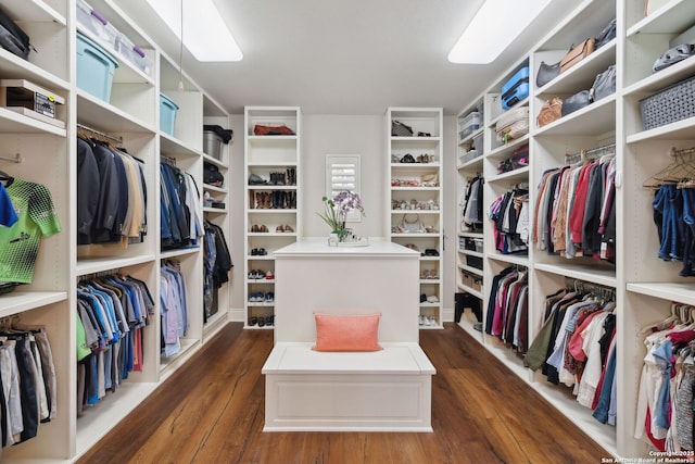 3919 El Chamizal, San Antonio, TX 78261 - spacious closet with dark wood-style flooring