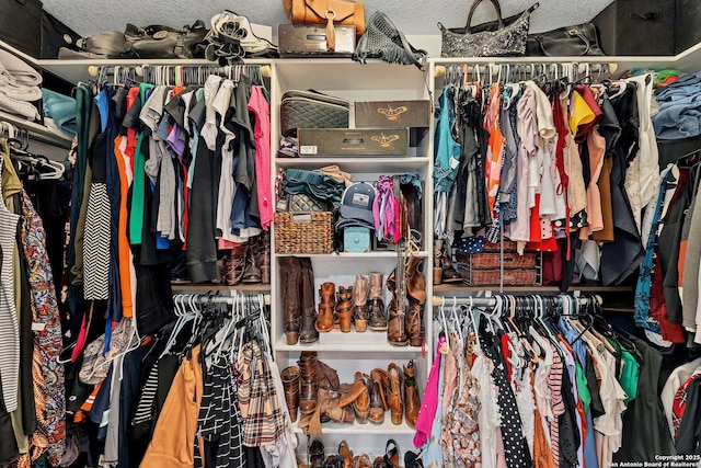 view of walk in closet