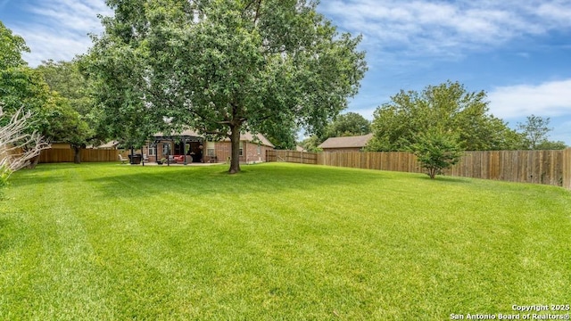 view of yard featuring a fenced backyard