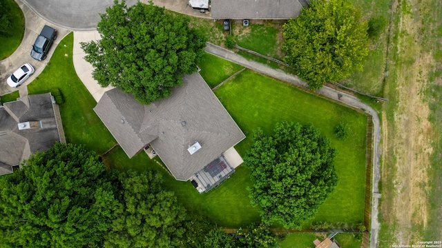bird's eye view