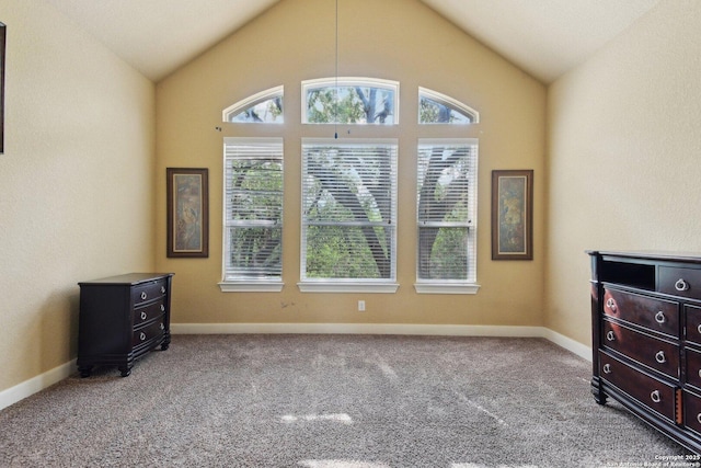 interior space with lofted ceiling, carpet, and baseboards
