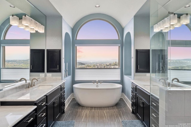 6743 Bella Colina, San Antonio, TX 78256 - full bathroom with a freestanding tub, baseboards, plenty of natural light, and vanity