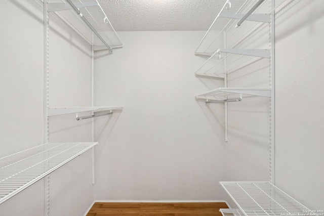 walk in closet featuring wood finished floors