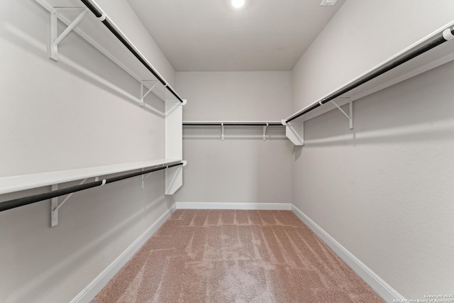 217 Blaze Moon, Cibolo, TX 78108 - spacious closet with light colored carpet