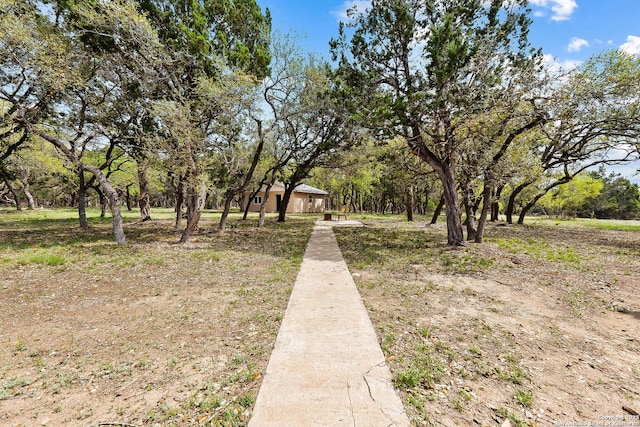 2501 Fischer Store, Wimberley, TX 78676 - view of yard
