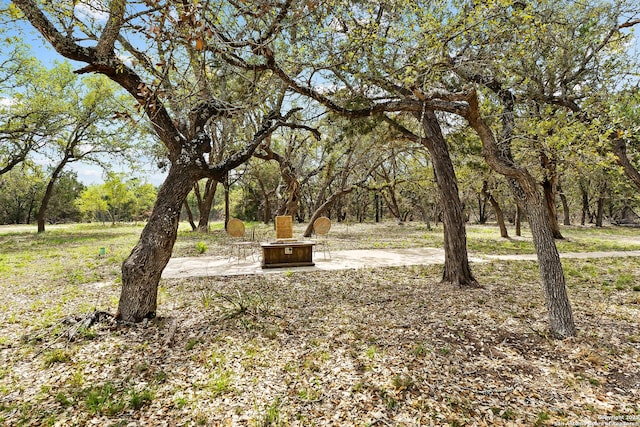 2501 Fischer Store, Wimberley, TX 78676 - view of yard with an outdoor fire pit and a patio area