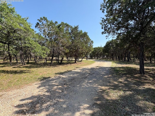 2501 Fischer Store, Wimberley, TX 78676 - view of dirt / gravel road