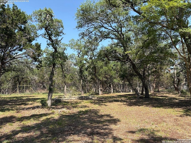 2501 Fischer Store, Wimberley, TX 78676 - view of wooded area