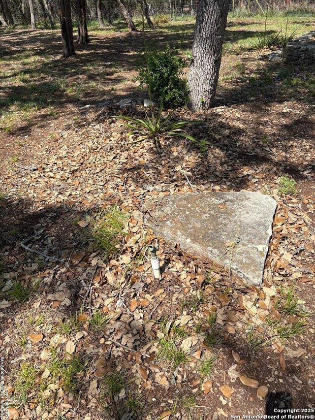 2501 Fischer Store, Wimberley, TX 78676 - view of yard