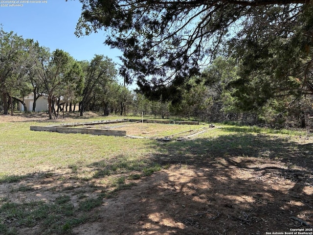 2501 Fischer Store, Wimberley, TX 78676 - view of yard