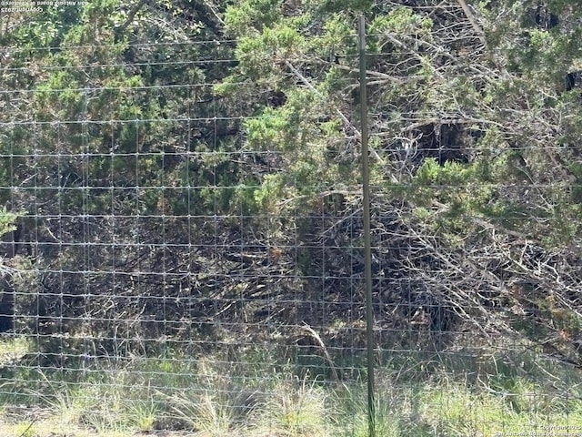 2501 Fischer Store, Wimberley, TX 78676 - view of nature