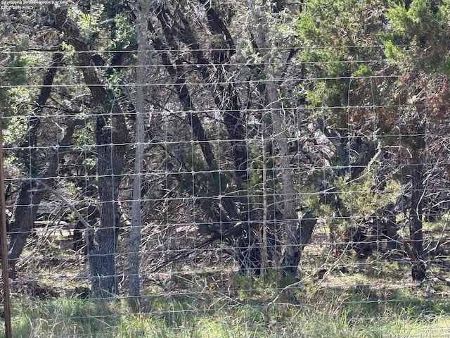 2501 Fischer Store, Wimberley, TX 78676 - view of undeveloped land