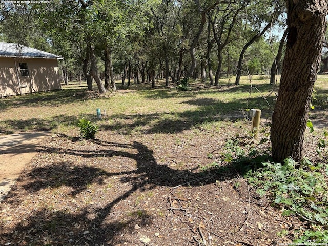 2501 Fischer Store, Wimberley, TX 78676 - view of yard