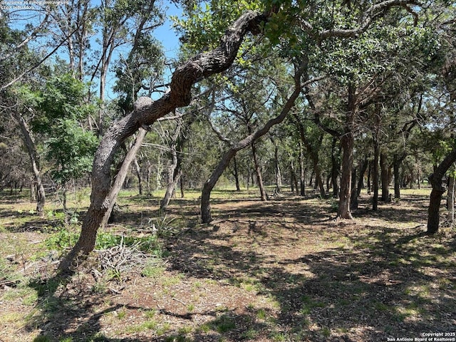 2501 Fischer Store, Wimberley, TX 78676 - view of local wilderness