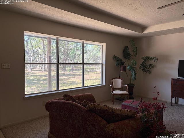2501 Fischer Store, Wimberley, TX 78676 - living room with carpet flooring, a textured ceiling, and baseboards