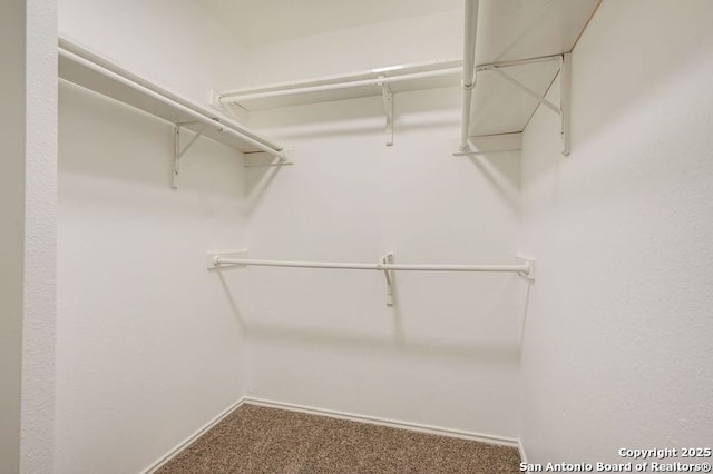 spacious closet with carpet floors