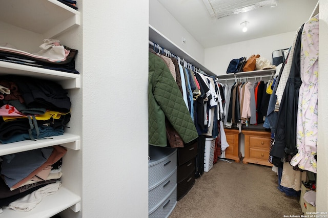 7102 Valley Trl, San Antonio, TX 78250 - walk in closet featuring carpet floors and attic access