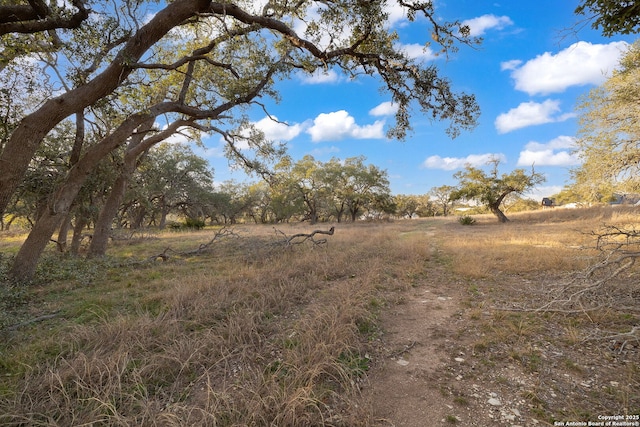 view of nature