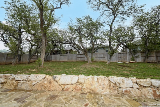 view of yard featuring a fenced backyard
