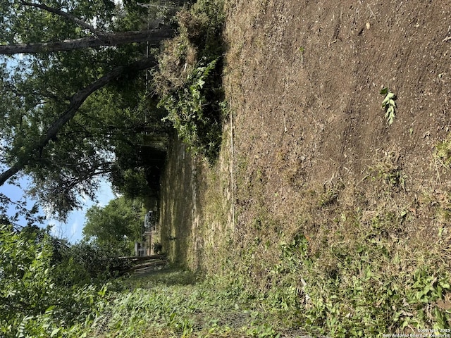 423 Hazel, San Antonio, TX 78207 - view of local wilderness
