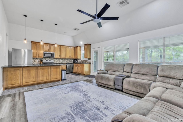 24704 Killarney St, Hempstead, TX 77445 - living area featuring lofted ceiling, visible vents, ceiling fan, and light wood-style flooring