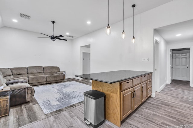 24704 Killarney St, Hempstead, TX 77445 - living room with ceiling fan, light wood-style floors, and visible vents
