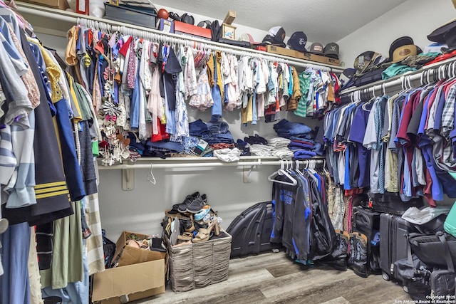 24704 Killarney St, Hempstead, TX 77445 - spacious closet featuring wood finished floors