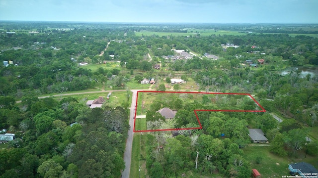 24704 Killarney St, Hempstead, TX 77445 - drone / aerial view