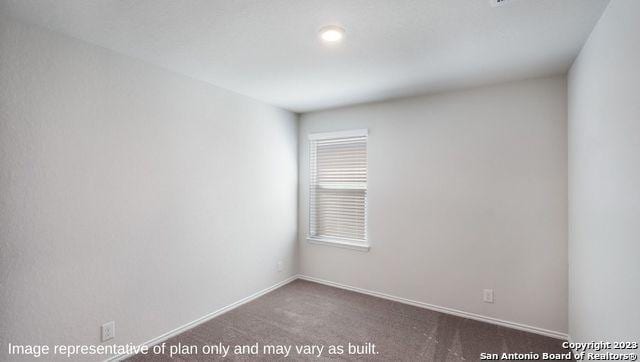 1506 Champagne Oak, New Braunfels, TX 78130 - unfurnished room with carpet floors and baseboards